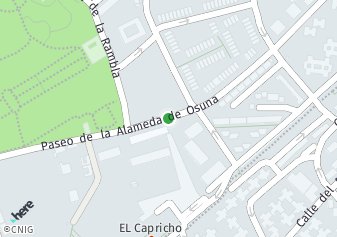 código postal de la provincia de Alameda De Osuna Paseo en Madrid