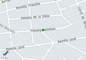 código postal de la provincia de Camelies Passeig en Sant Cugat Del Valles