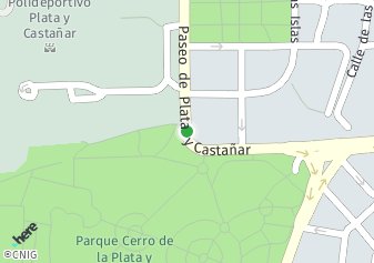 código postal de la provincia de Plata Y Castanar Paseo en Madrid